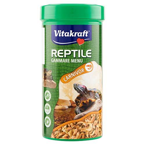 Reptile Gammare menu carnivor