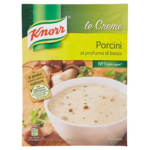 Knorr Crema Funghi Porcini, 100g, 100 grammo, 1